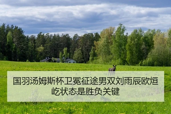 guo-yu-tang-mu-si-bei-wei-mian-zheng-tu-nan-shuang-liu-yu-chen-ou-xuan-yi-zhuang-tai-shi-sheng-fu-guan-jian-2-185.jpg